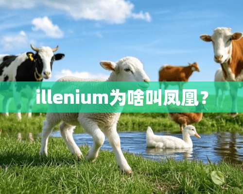 illenium为啥叫凤凰？