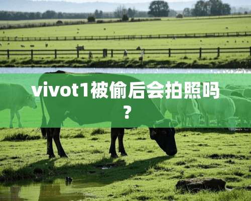 vivot1被偷后会拍照吗？