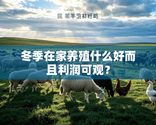 冬季在家养殖什么好而且利润可观？