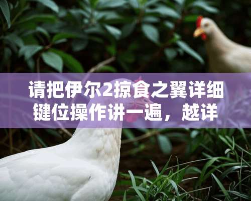 请把伊尔2掠食之翼详细键位操作讲一遍，越详细越好？