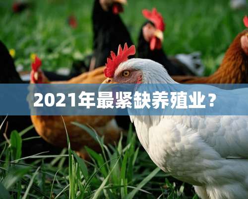 2021年最紧缺养殖业？