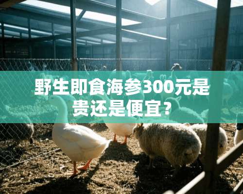 野生即食海参300元是贵还是便宜？