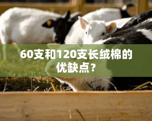 60支和120支长绒棉的优缺点？