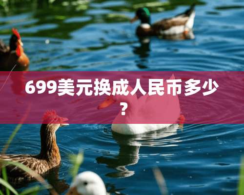 699美元换**民币多少？