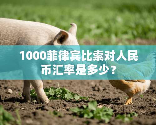 1000菲律宾比索对人民币汇率是多少？