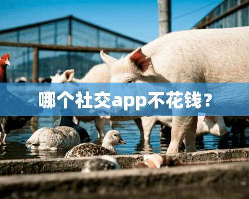 哪个社交app不花钱？