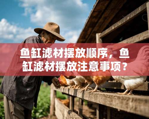 鱼缸滤材摆放顺序，鱼缸滤材摆放注意事项？