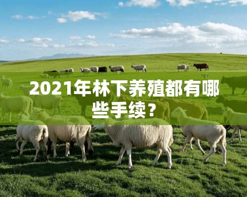 2021年林下养殖都有哪些手续？