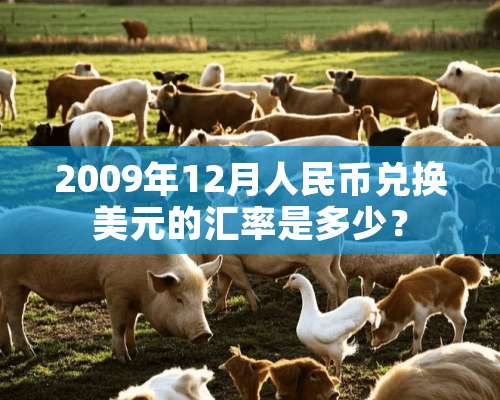 2009年12月人民币兑换美元的汇率是多少？