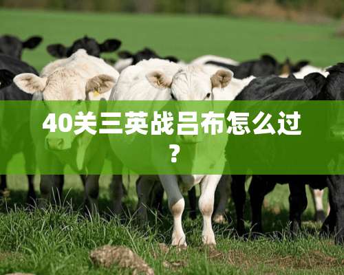 40关三英战吕布怎么过？