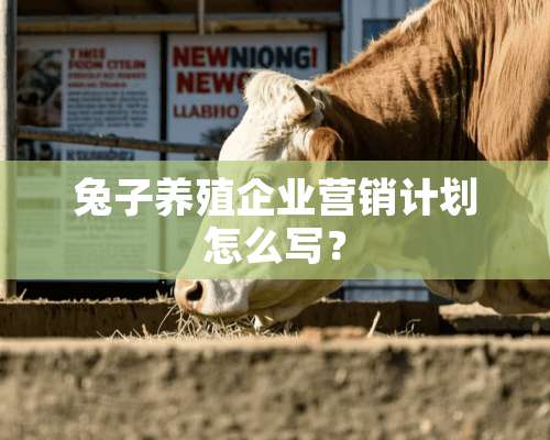 兔子养殖企业营销计划怎么写？