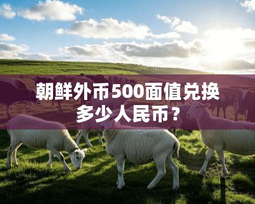 朝鲜外币500面值兑换多少人民币？