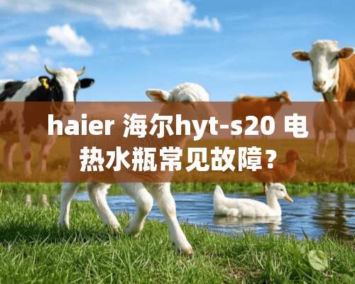 haier 海尔hyt-s20 电热水瓶常见故障？