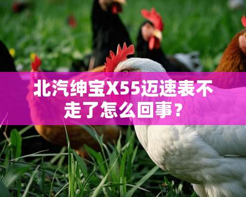 北汽绅宝X55迈速表不走了怎么回事？