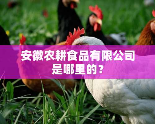 安徽农耕食品有限公司是哪里的？