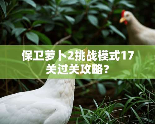 保卫萝卜2挑战模式17关过关攻略？