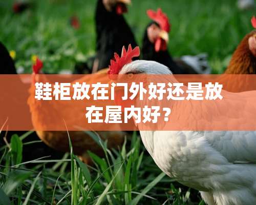 鞋柜放在门外好还是放在屋内好？