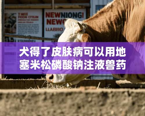 犬得了皮肤病可以用****磷酸钠注液兽药？