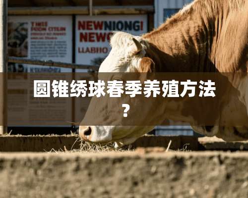 圆锥绣球春季养殖方法？