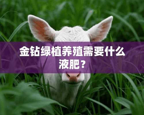 金钻绿植养殖需要什么液肥？