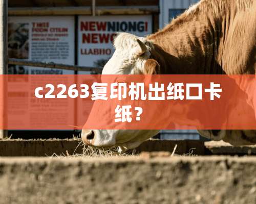 c2263复印机出纸口卡纸？