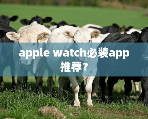 apple watch必装app推荐？