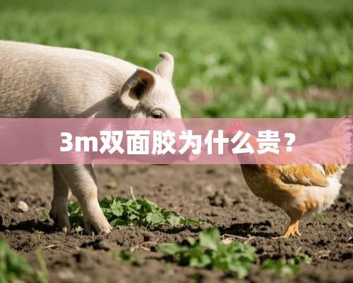 3m双面胶为什么贵？