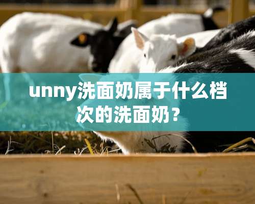 unny洗面奶属于什么档次的洗面奶？