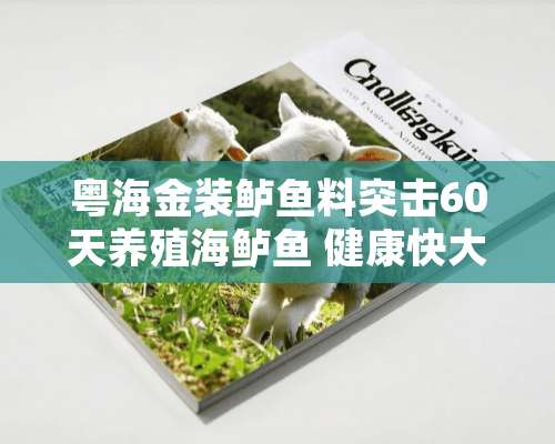 粤海金装鲈鱼料突击60天养殖海鲈鱼 健康快大抢大钱