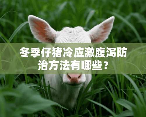 冬季仔猪冷应激腹泻防治方法有哪些？