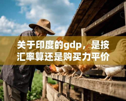 关于印度的gdp，是按汇率算还是购买力平价法？