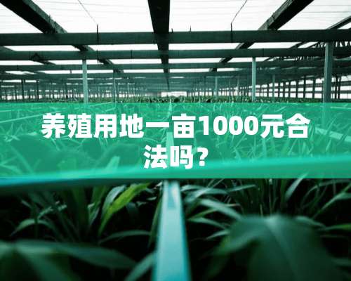 养殖用地一亩1000元合法吗？