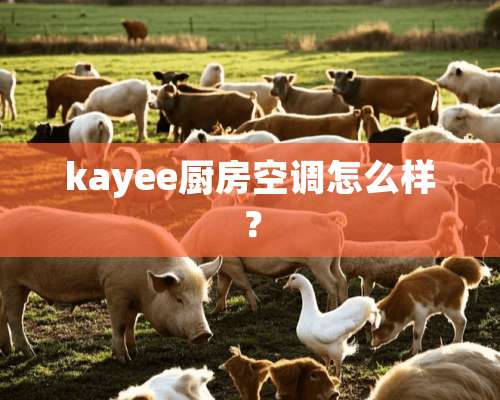 kayee厨房空调怎么样？