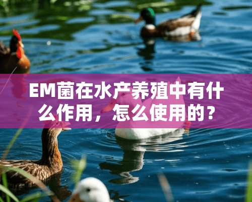 EM菌在水产养殖中有什么作用，怎么使用的？