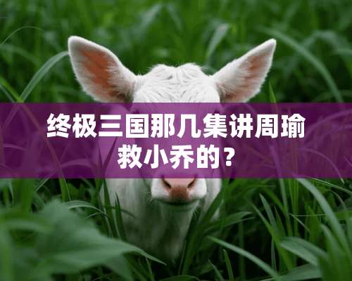 终极三国那几集讲周瑜救小乔的？