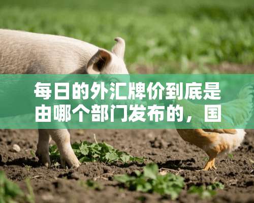 每日的外汇牌价到底是由哪个部门发布的，国家外汇管理局还是央行？