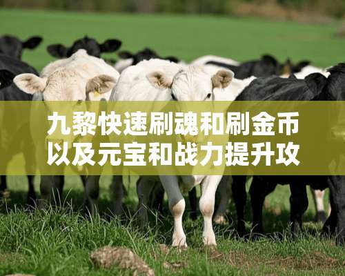 九黎快速刷魂和刷金币以及元宝和战力提升攻略？