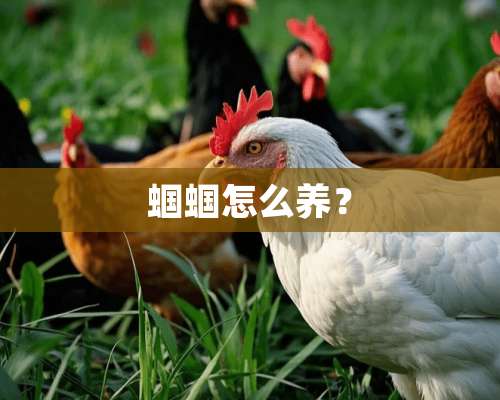 蝈蝈怎么养？