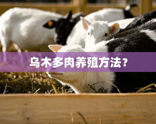 乌木多肉养殖方法？