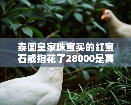 泰国皇家珠宝买的红宝石戒指花了28000是真的吗？