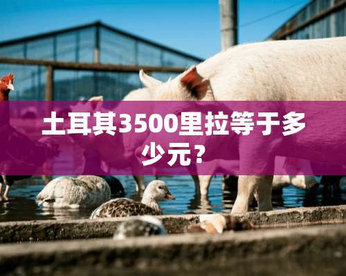 土耳其3500里拉等于多少元？