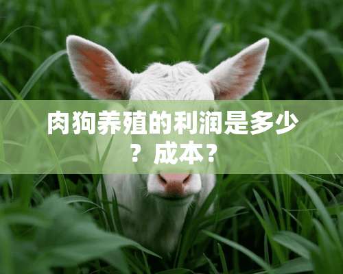 肉狗养殖的利润是多少？成本？