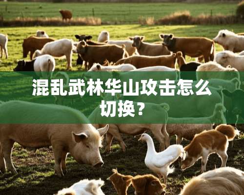 混乱武林华山攻击怎么切换？