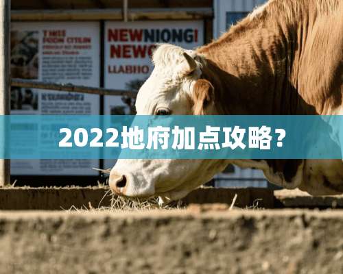 2022地府加点攻略？