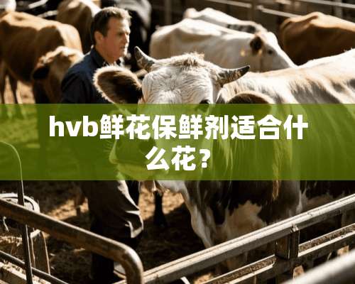 hvb鲜花保鲜剂适合什么花？