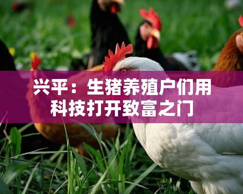 兴平：生猪养殖户们用科技打开致富之门