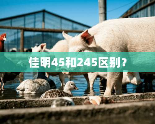 佳明45和245区别？