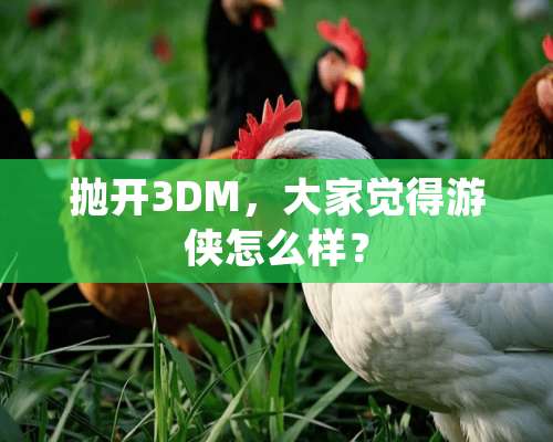 抛开3DM，大家觉得游侠怎么样？