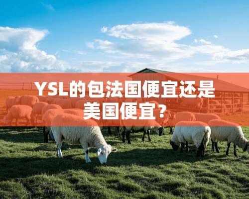 YSL的包法国便宜还是美国便宜？