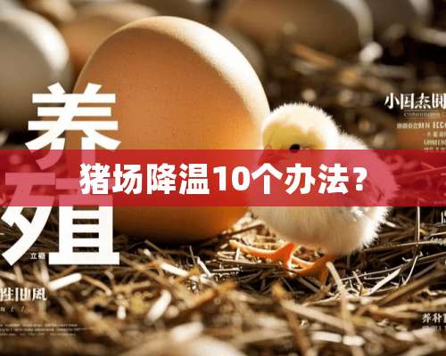 猪场降温10个办法？